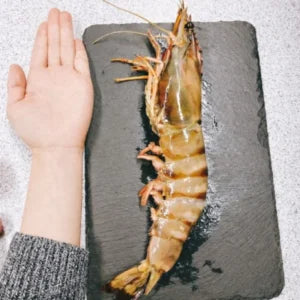 🦐 Colossal Deep-Sea Black Tiger Prawns