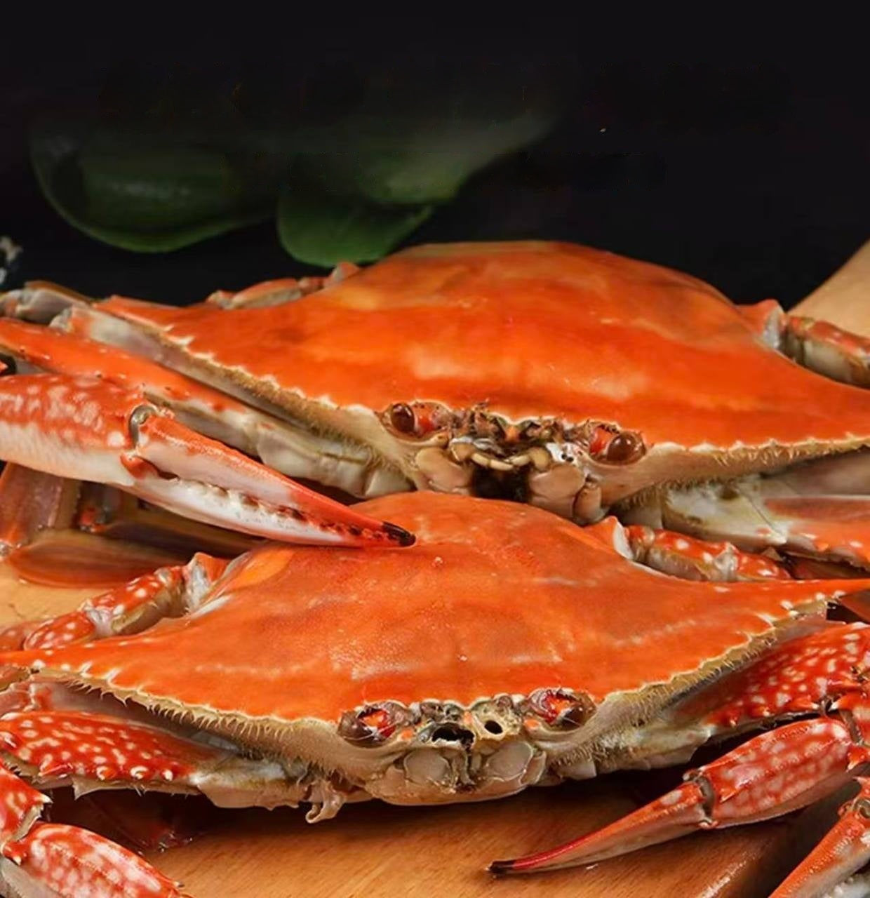 🦀 Premium Swimming Crabs: Bursting with Roe & Live to Your Door